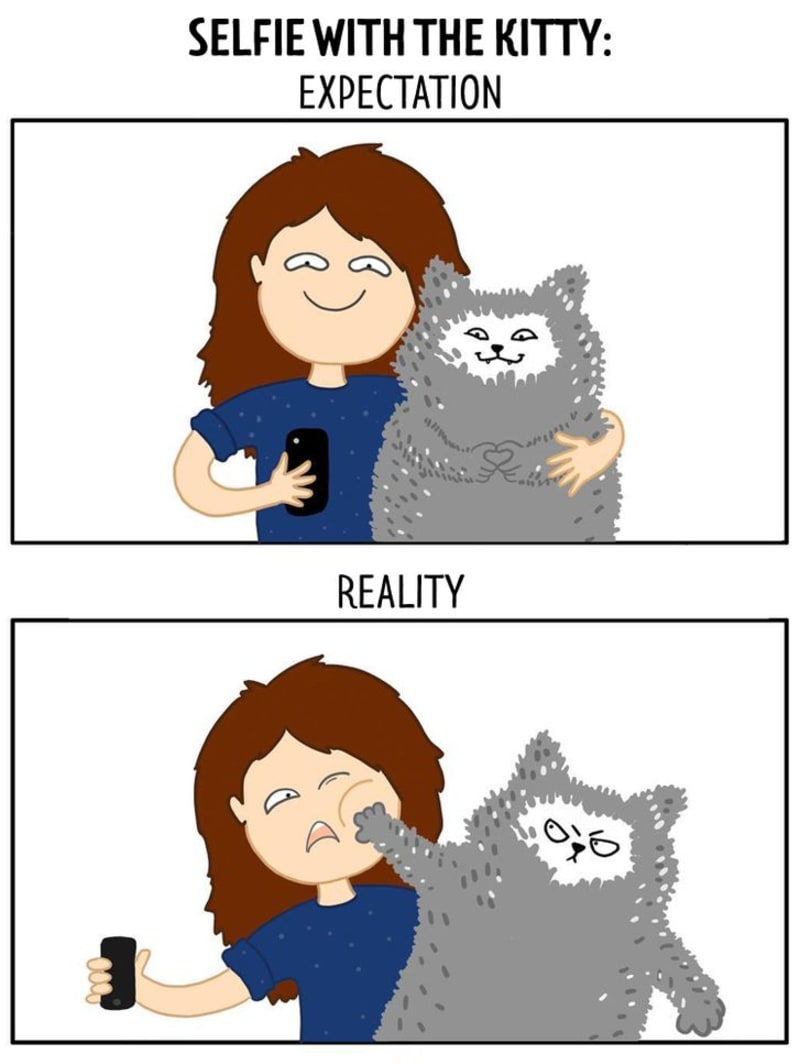 Pravdivé ilustrace ze života s kočkami 17