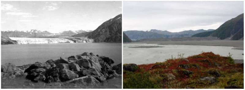 Carrollův ledovec, Aljaška, 1906 a 2003