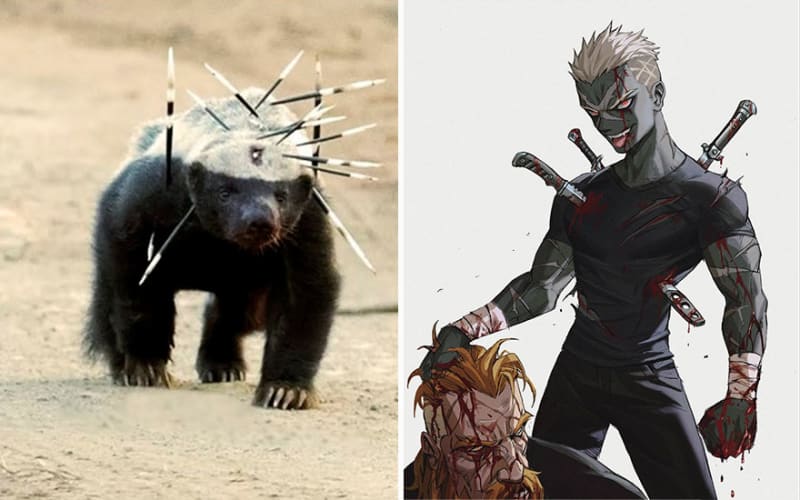 Umělec přetváří zvířata na anime postavy 6