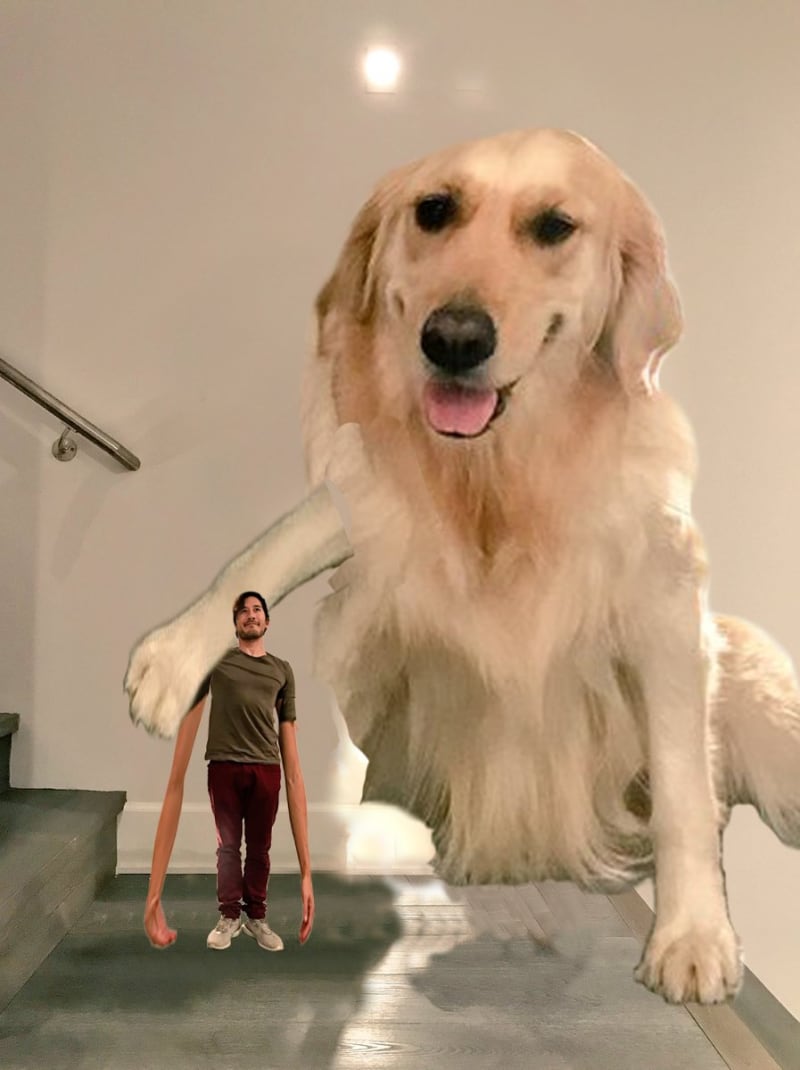 YouTuber chtěl upravit fotku sebe a svého psa - Obrázek 12