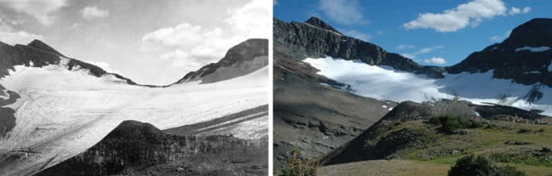 Ledovec Cheney před a po
