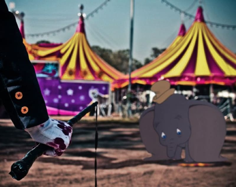 Dumbo skončil v cirkuse