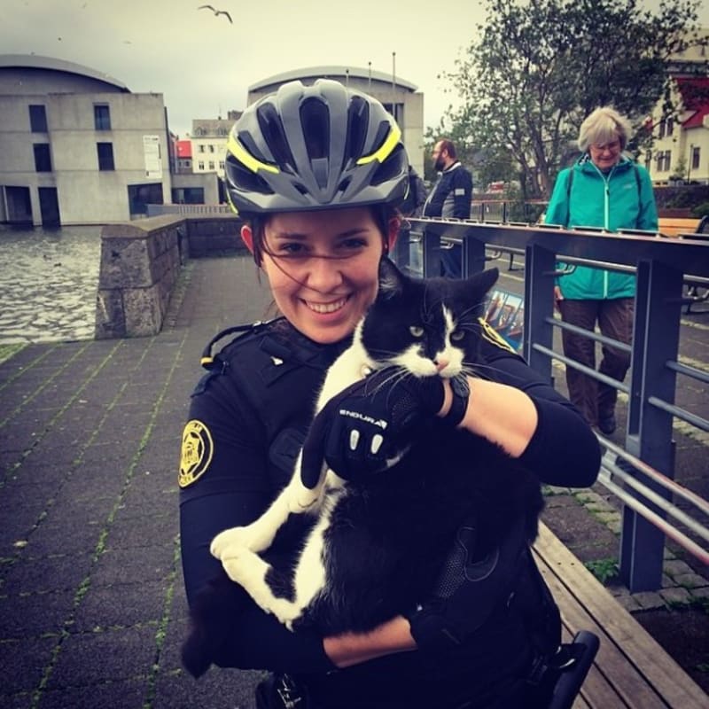 Policie Reykjavik má instagram plný štěňátek, koťat a zmrzliny - Obrázek 20