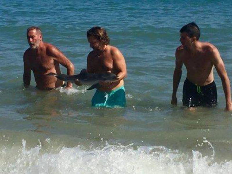 Člen organizace Equinac vytahuje z vody mrtvého delfína.