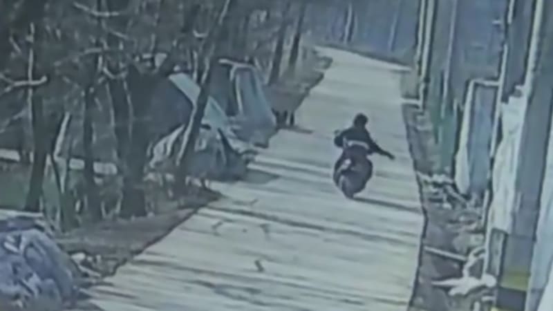 Muž přimáčkl autem ke zdi vraha svého psa a zabil ho 4