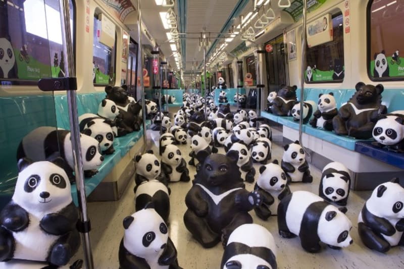 Celkem 1600 papírových pand dal dohromady francouzský umělec Paulo Grangeon ve spolupráci s ekology z WWF, aby s nimi uspořádal v Tchaj-pej show ke zvýšení povědomí o tom, že panda velká je ohroženým druhem.