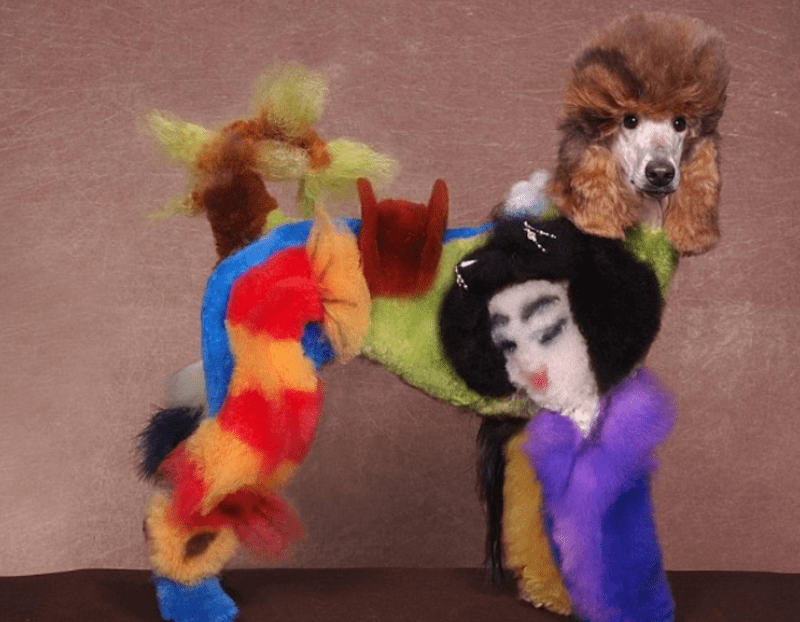 GALERIE: Šílení majitelé přeměnili svoje smutné psy na barevné plyšáky - Obrázek 14