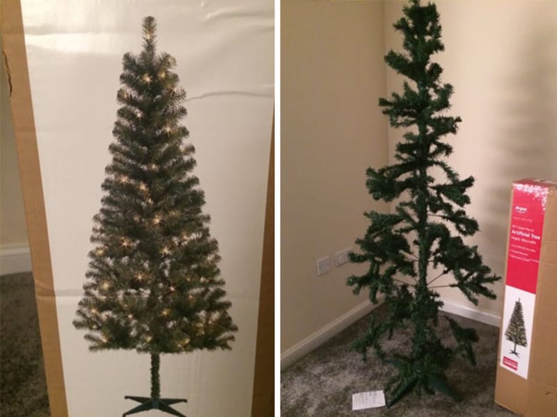 Tenhle stromek už má asi jedny Vánoce za sebou.