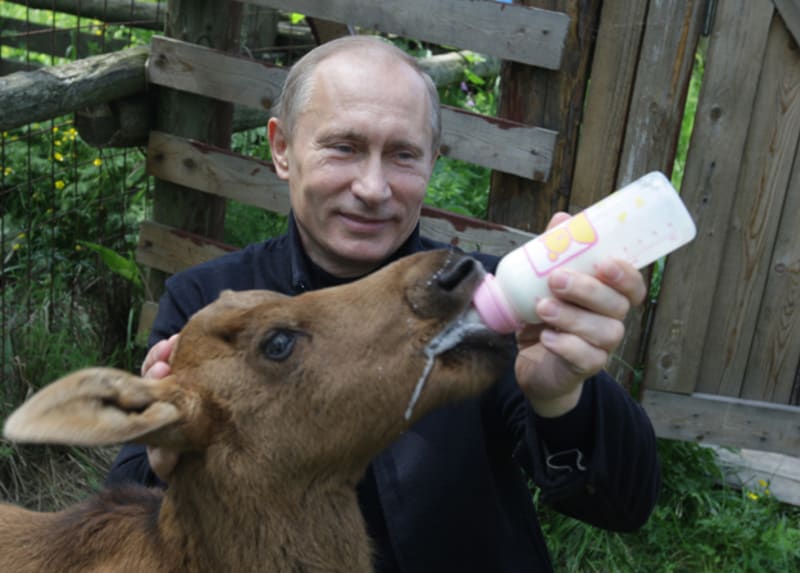 Ruský prezident Vladimír Putin se s velkou oblibou fotí s různými zvířaty - Obrázek 3