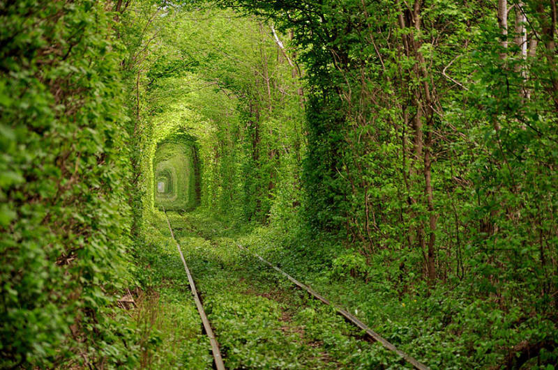 Tunnel Of Love, na Ukrajině