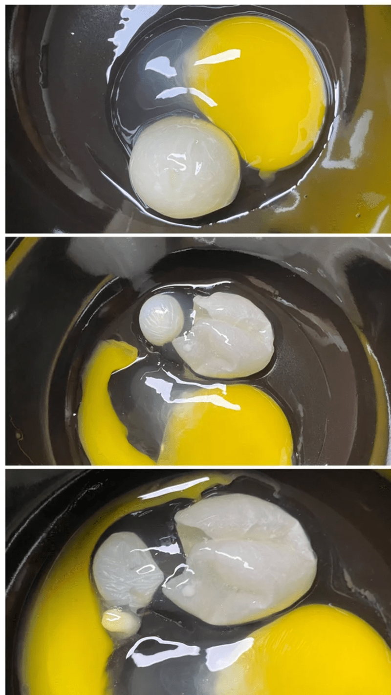 Vejce, které mělo v sobě vejce, které mělo v sobě vejce