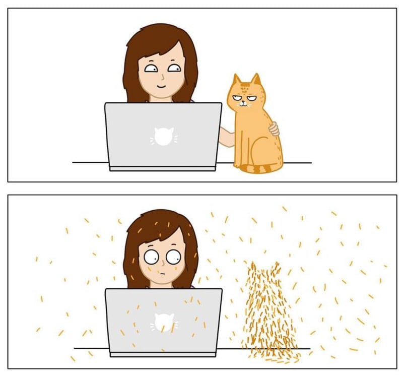 Pravdivé ilustrace ze života s kočkami 4