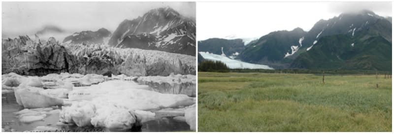 Pedersenův ledovec, Aljaška, 1917 a 2005