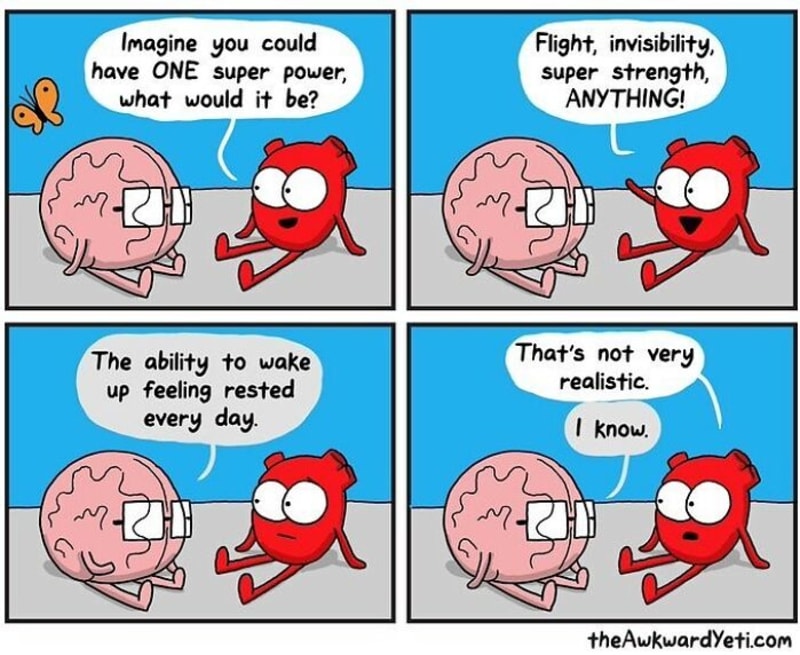Nekonečná bitva mezi srdcem a mozkem 6