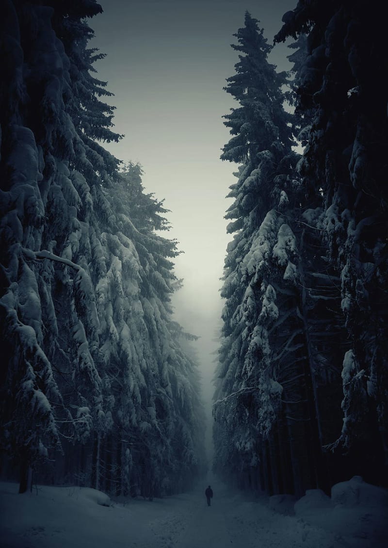Lesní cesta v zimě, Česká republika
