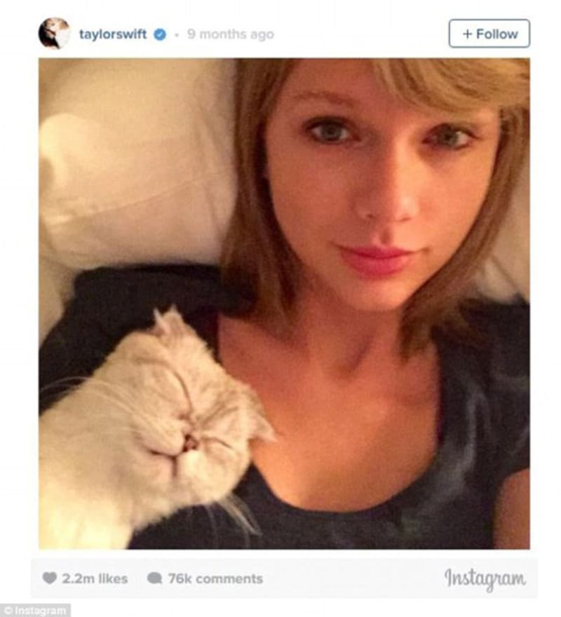 I Taylor Swift zažila útok kočky, i když je známá svojí láskou k těmto zvířatům.