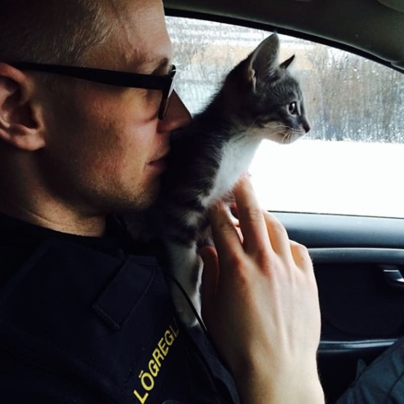 Policie Reykjavik má instagram plný štěňátek, koťat a zmrzliny - Obrázek 5