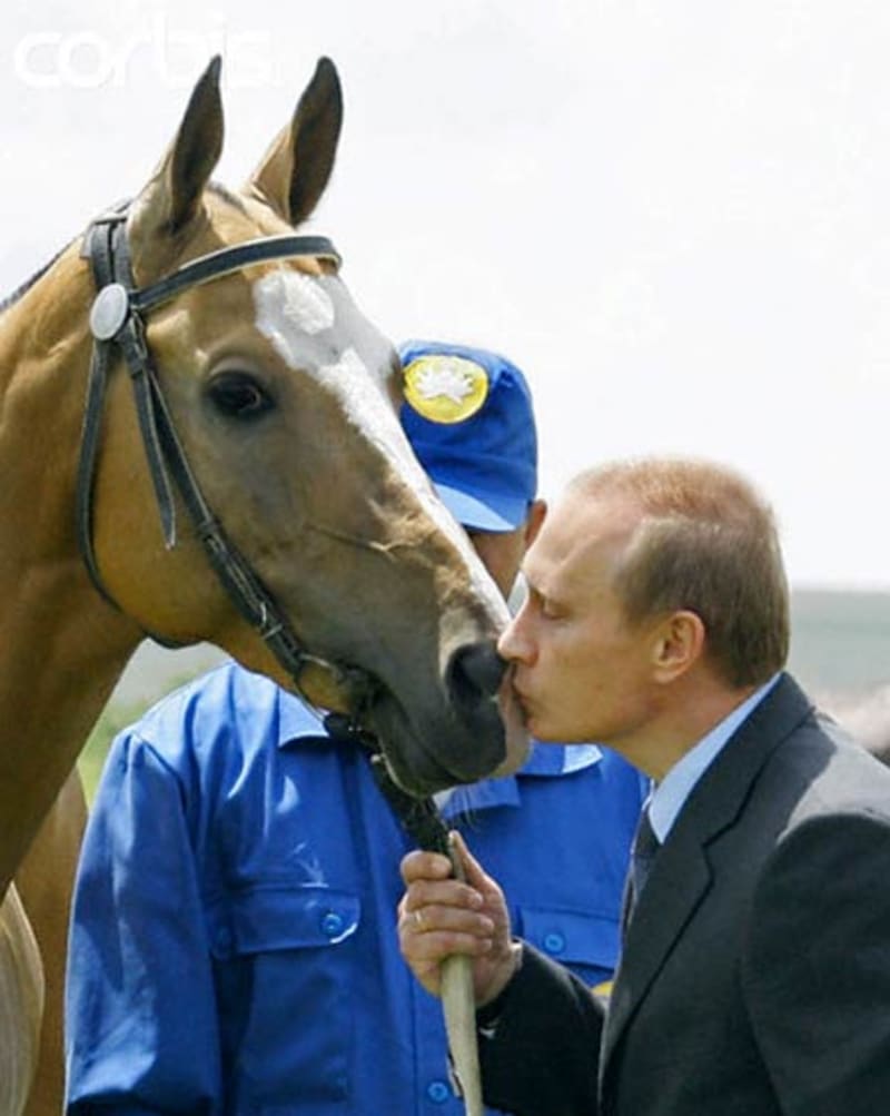 Ruský prezident Vladimír Putin se s velkou oblibou fotí s různými zvířaty - Obrázek 4