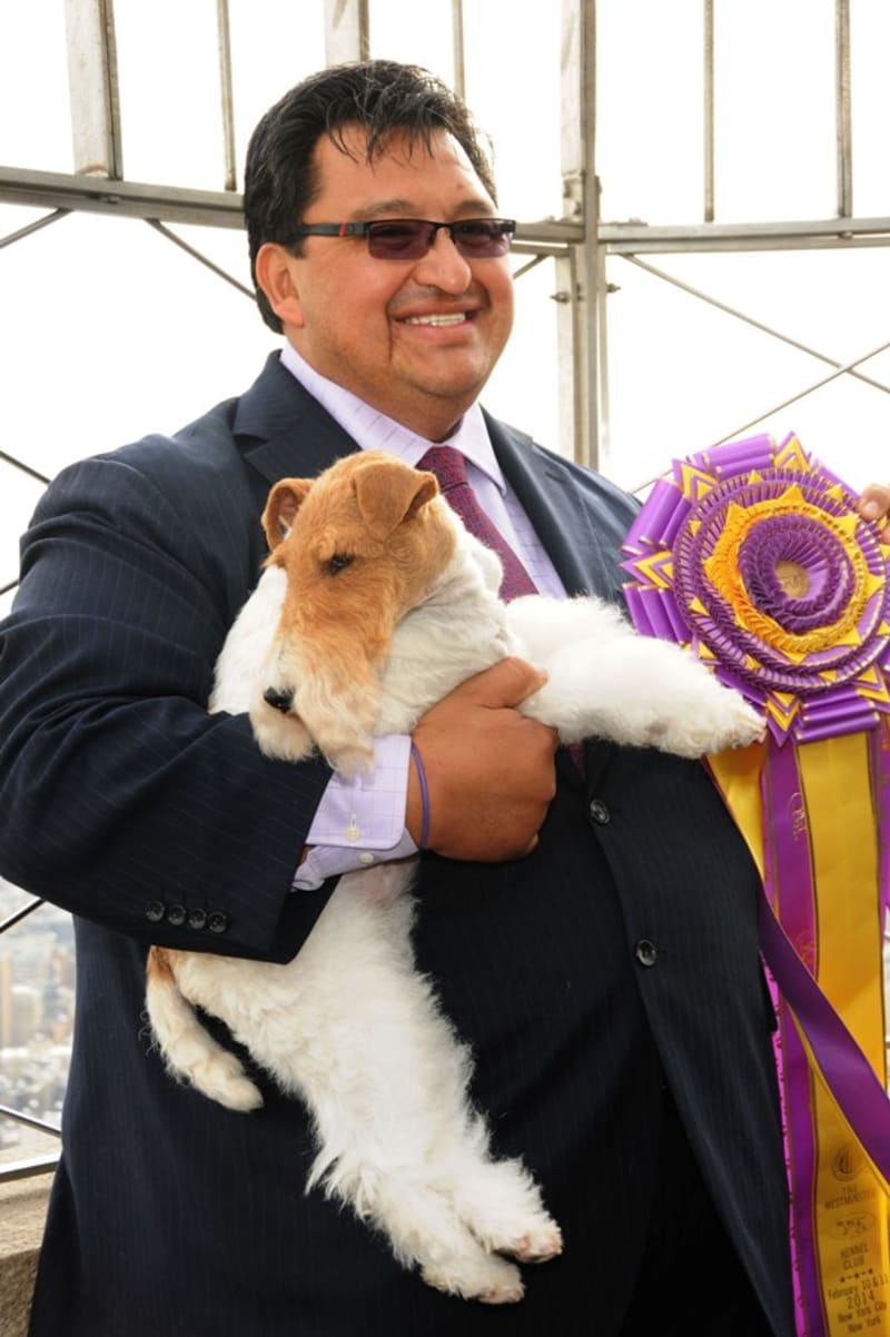 V New Yorku se uskutečnila nejznámější výstava psích šampionů na světě The Westminster Kennel Club Dog Show. Výstava byla určena výhradně pro šampióny a počet přihlášených psů atakoval tři tisícovky. Vítězem se nakonec stal pětiletý drsnosrstý foxteriér