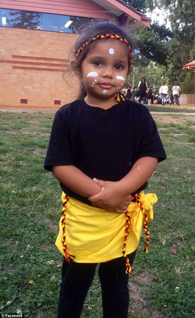 Tříletá domorodá holčička se stala terčem rasistických útoků, když se převlékla za pohádkovou královnu Elsu. Není černá! křičeli na ni - Obrázek 2