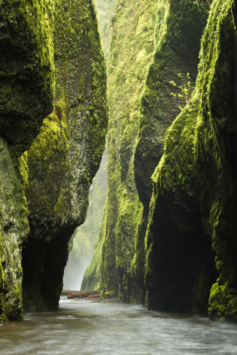 Neuvěřitelně krásná místa USA - Oneonta Gorge, Columbia River Gorge, Oregon