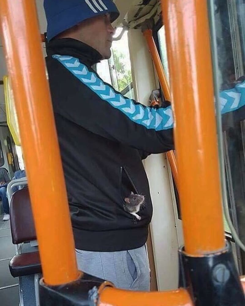 Humans of Trolleybuses 6