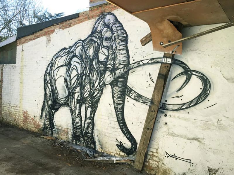 Geometrické zvířecí street art: Oživení pro opuštěná místa - Obrázek 12