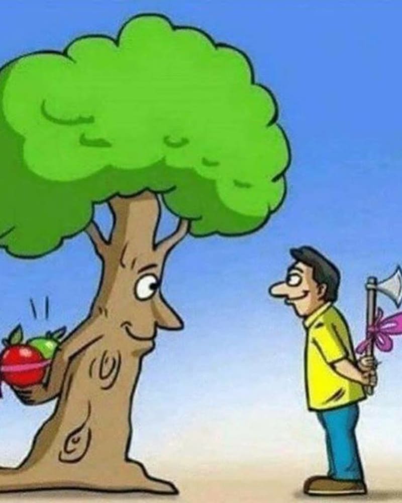 Strom nese jablka a člověk sekeru