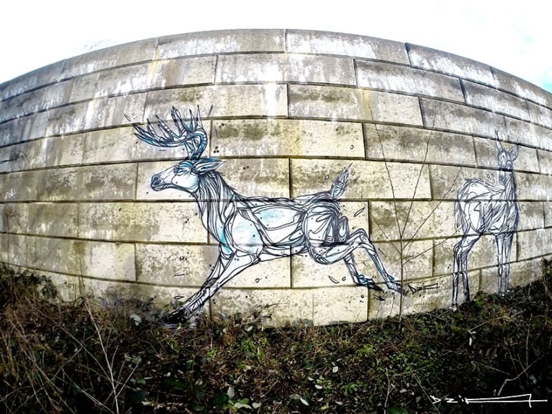 Geometrické zvířecí street art: Oživení pro opuštěná místa - Obrázek 6