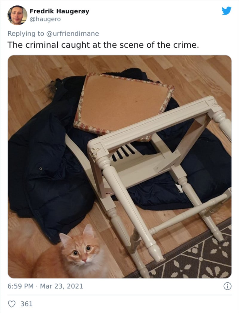 Zvířecí zločiny 8