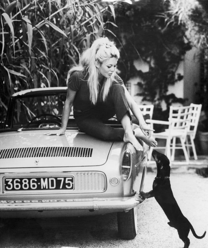 Brigitte Bardot a její jezevčík... krásný páreček :-)