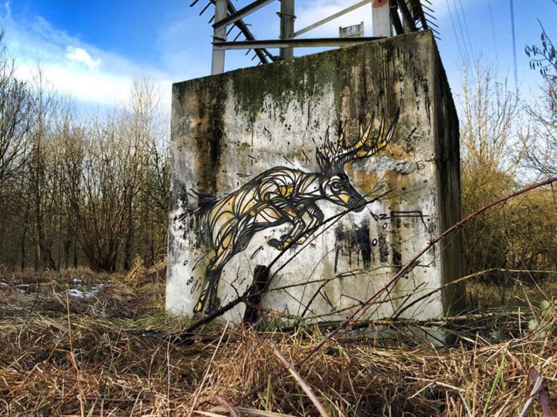 Geometrické zvířecí street art: Oživení pro opuštěná místa - Obrázek 14