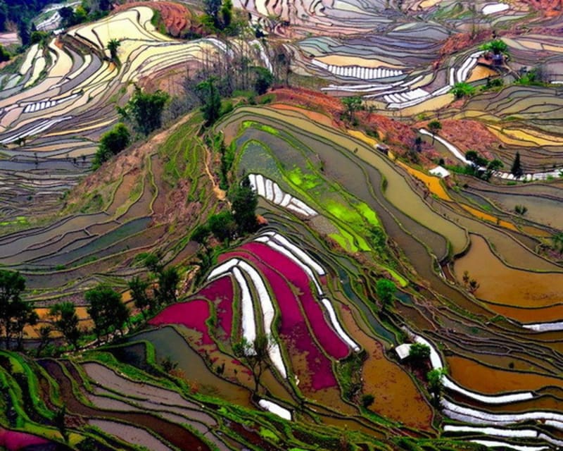 Rýžové terasy, Yunnan, Čína