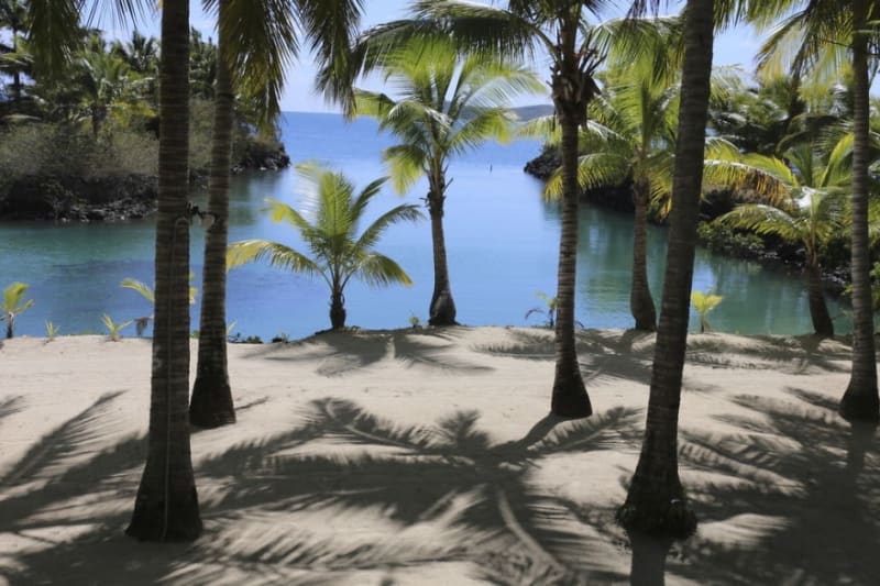 Palmy na jedné z fidžijských pláží