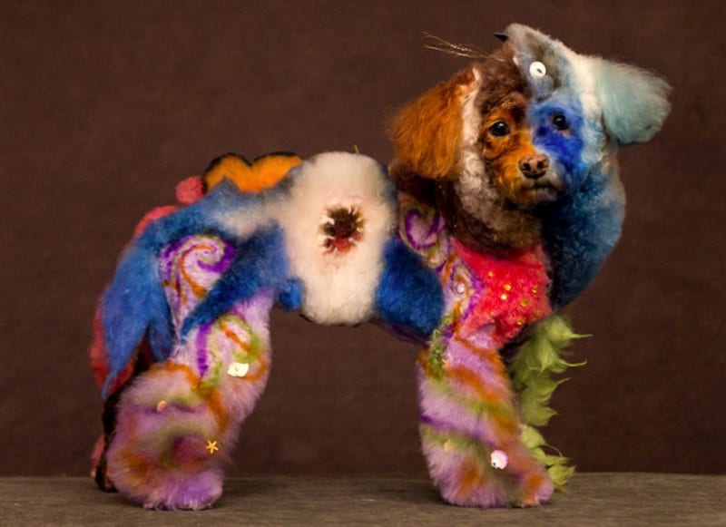GALERIE: Šílení majitelé přeměnili svoje smutné psy na barevné plyšáky - Obrázek 3