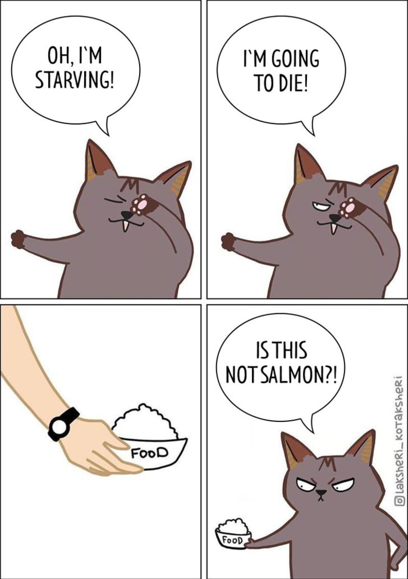 Pravdivé ilustrace ze života s kočkami 2