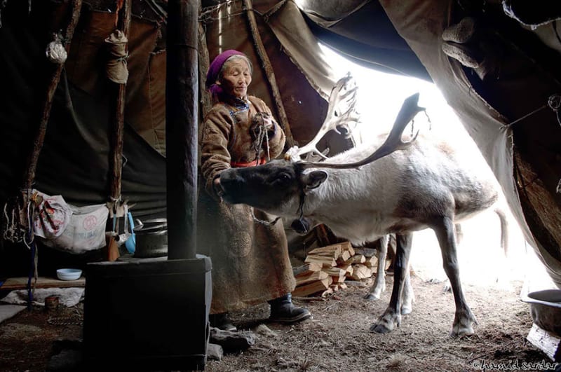 Každodenní společný život sobů a lidí z Mongolska - Obrázek 5