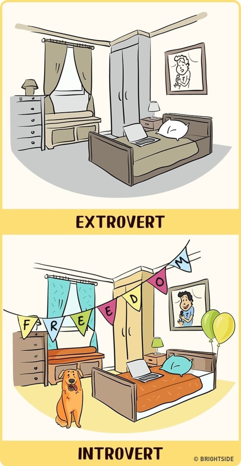 Rozdíl mezi extroverty a introverty 8