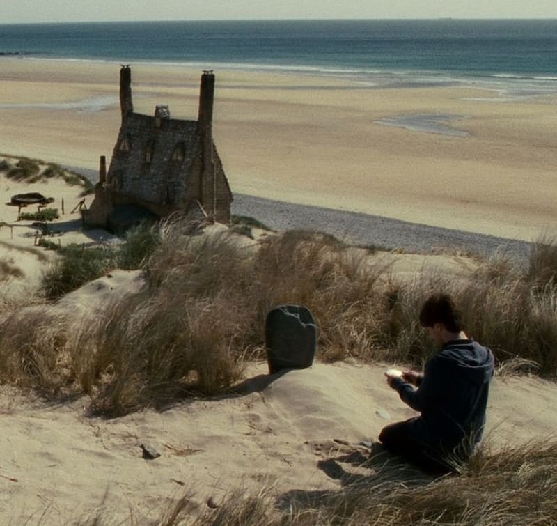 V sedmém díle filmu Dobby umírá při porušení slibu, který dal Harrymu ve druhém díle, že už se nikdy nepokusí zachránit jeho život.