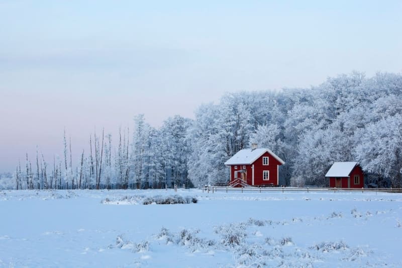 Krásný výhled na dva červené domky proti zasněžovaným stromům a zimní krajinou v popředí