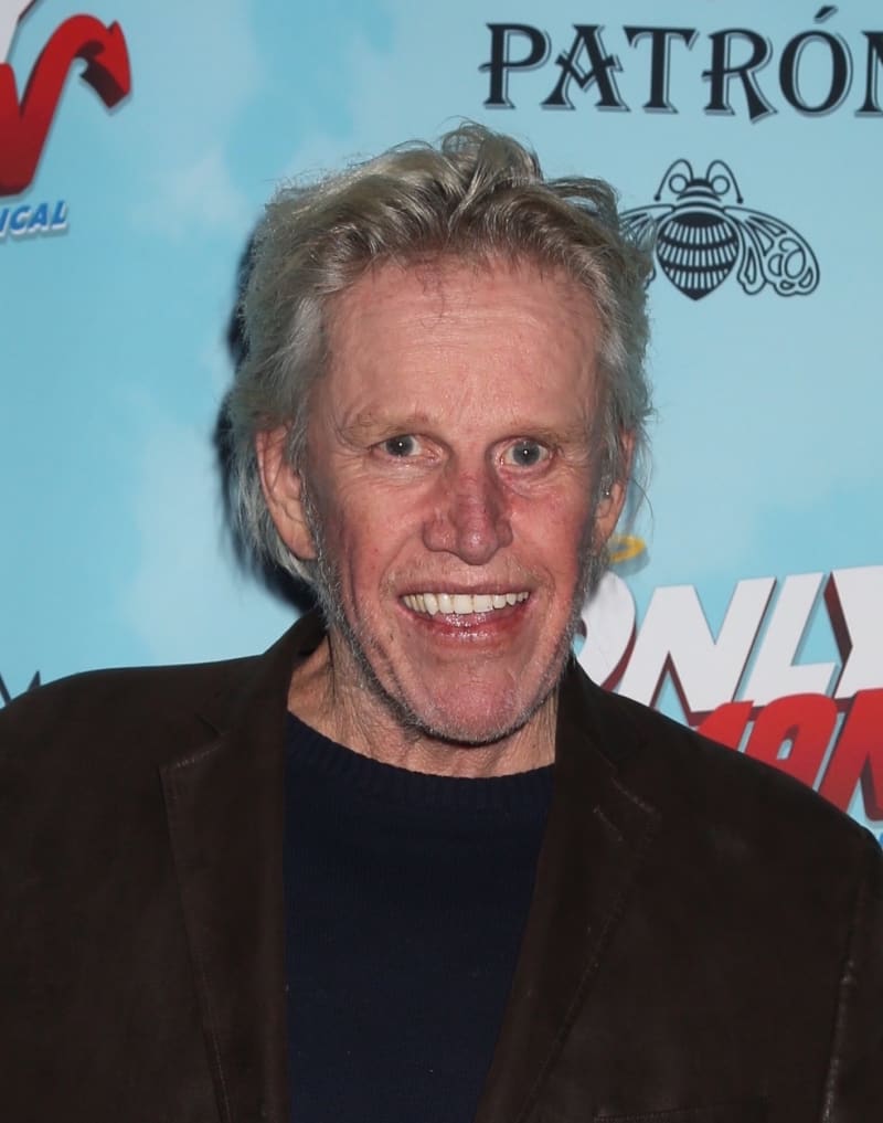 Gary Busey (75 let)
