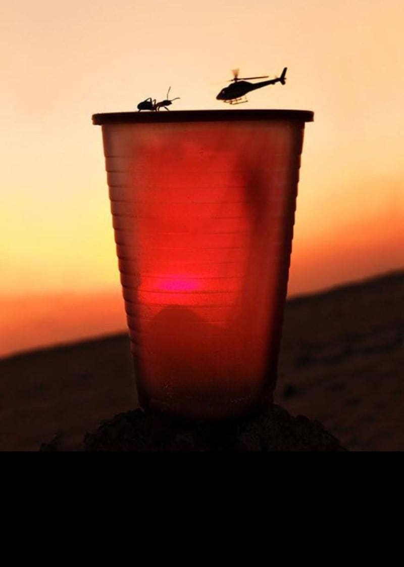 Mravenec vs. vrtulník