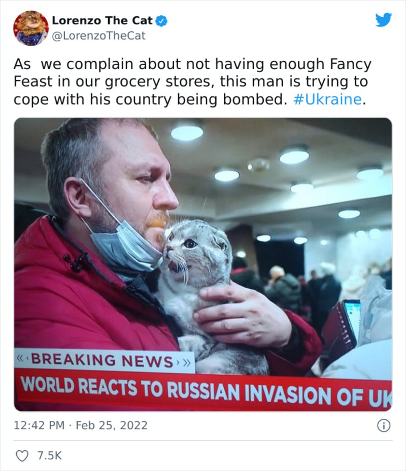 Lidé z Ukrajiny prchají se svými zvířaty 12