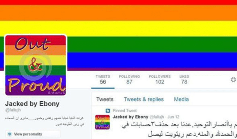 Gay pornem proti ISIS - Obrázek 5