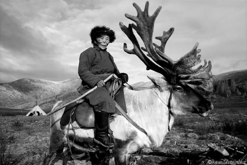 Každodenní společný život sobů a lidí z Mongolska - Obrázek 2