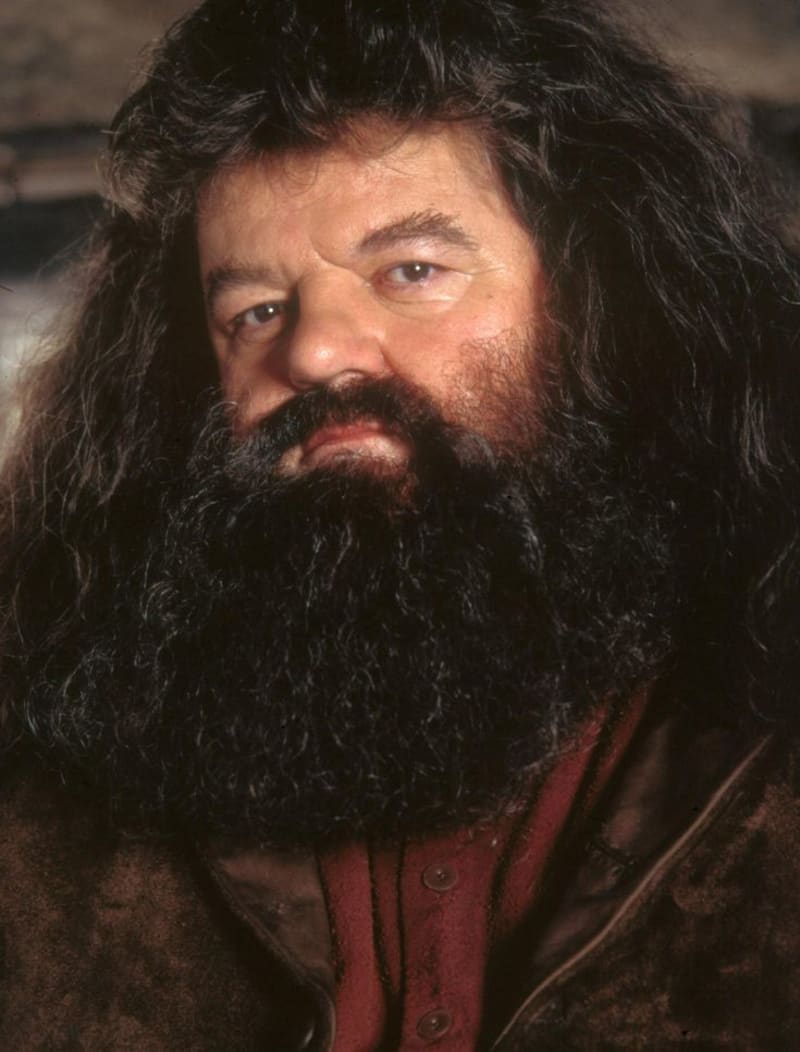 Hagrid z Harryho Pottera.