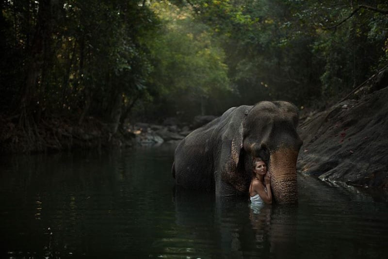 Koupání se slonem, to musí být krásný zážitek...