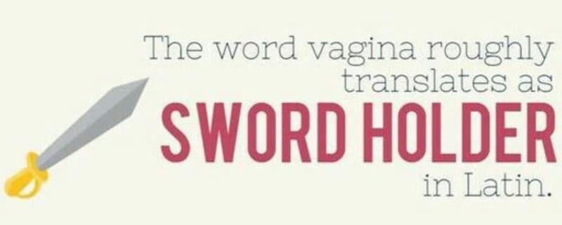 Slovo vagina v latině zhruba znamená pochva na meč.