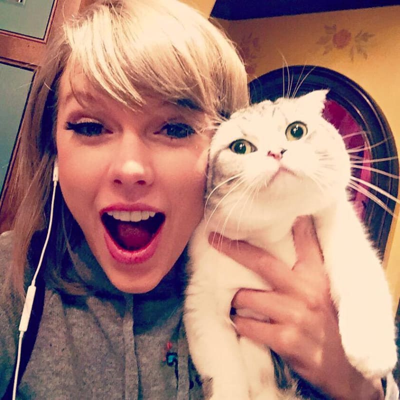 Kočička Taylor Swift a její kocourek.