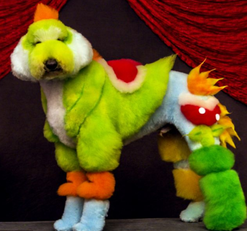 GALERIE: Šílení majitelé přeměnili svoje smutné psy na barevné plyšáky - Obrázek 1